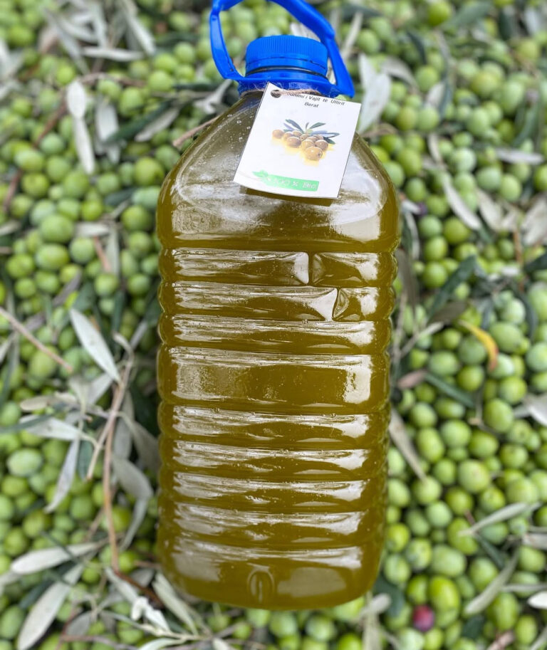 Bie prodhimi ullirit, fermerët e Beratit dhe Elbasanit përballen me vështirësi img 7087