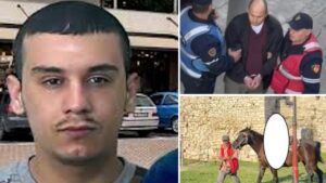 Tre vrasje në një ditë, ekspertët ngrenë ALARMIN: Kujdes për shëndetin mendor, shoqëria... img 9584