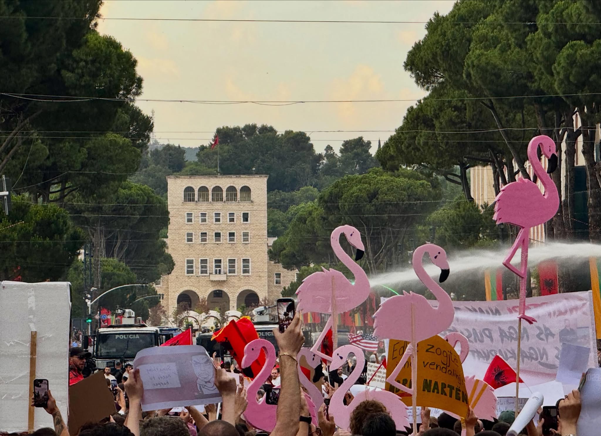 Diaspora shqiptare i bashkohet “Revolucionit Flamingo” në mbi 20 qytete të botës Diaspora shqiptare i bashkohet “Revolucionit Flamingo” në mbi 20 qytete të botës